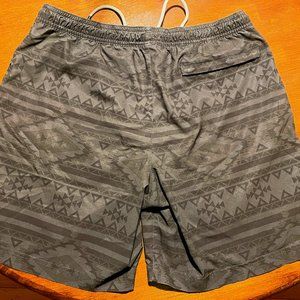 Chubbies Lined Workout Shorts
